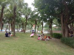 -海珠儿童公园