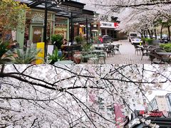 -玛格萝妮比萨屋(四平店)