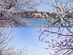 -颐和园