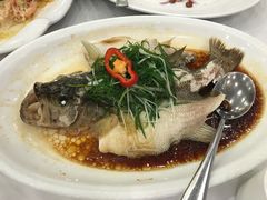 -渔民新村(番禺总店)