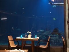 -海棠湾洲际-涛·海底餐厅·美人鱼·自助餐·海底隧道