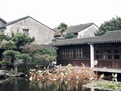 -艺圃