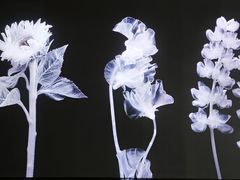 -时代美术馆-成都馆