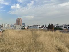 -中共上海市委党校 上海行政学院