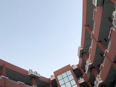 -中加枫华国际学校