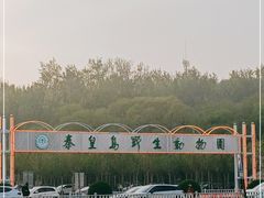 -秦皇岛野生动物园