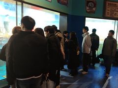 -海合安武汉极地海洋公园