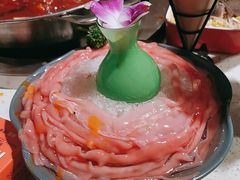 -钢管厂五区小郡肝火锅串串香(总店)