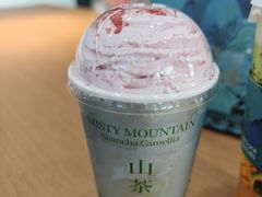 -雾与山茶(大禹城店)