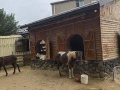 -HERRE·FARM 赫尔露营农场·团建聚会包场