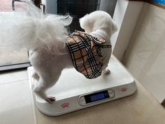 -艾贝尔宠物医院·24H转诊中心·肿瘤猫专科(江宁双龙店)