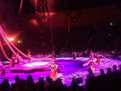 -珠海横琴长隆《卡卡虎奇遇记》