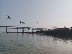 -黑石礁公园