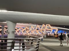 -演武大桥观景平台