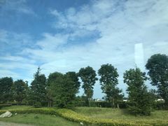 -陕西省红河谷森林公园