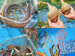 -三亚西岛海洋文化旅游区