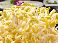 黄豆芽-包装马车·韩国料理·포장마차