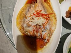 -上海新锦江大酒店