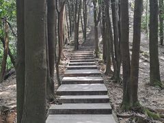 -火炉山森林公园