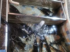 -缘福乡村铁锅炖民宿(八达岭店)