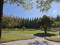 -黄海国家森林公园