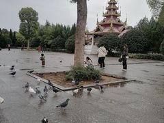 -洛阳白马寺