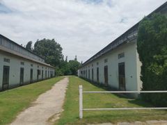 -平湖九龙山旅游度假区