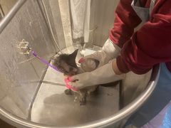 -PETKIT 小佩宠物·低压洗护·美容·寄养(安远店)