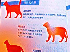 -诚品书店(敦南店)