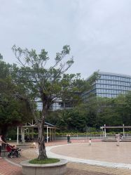-深圳市儿童乐园