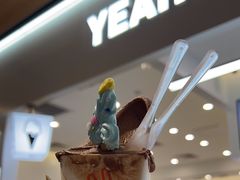 -野人先生现做冰淇淋(北京环宇荟店)