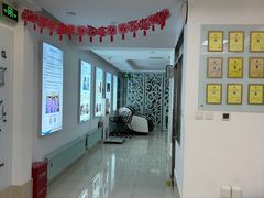 -北京观赏动物医院·24小时大型综合·猫专科·异宠专科