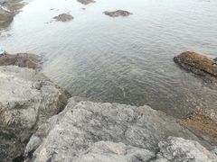 -黑石礁公园