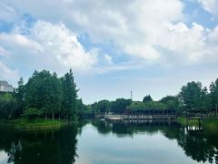 -尚贤河湿地