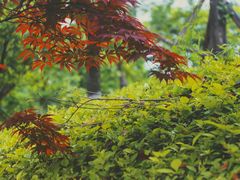 -成飞公园