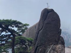 -黄山风景区