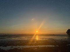 -宝安西湾红树林湿地公园