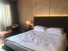 -上海崇明金茂凯悦酒店