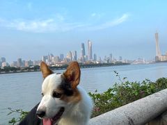 -珠江夜游广州塔·中大码头