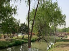 -西安浐灞国家湿地公园