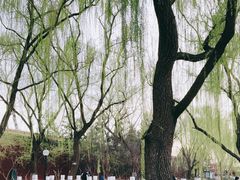 -菖蒲河公园
