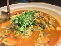 太平湖有机胖头鱼-魏铭鱼头捞饭(晋阳路店)