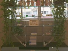-兔博士口腔(长安分院)