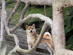 -藏龙百瀑风景区