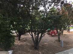 -廊坊市自然公园