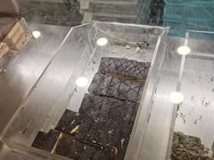 -上海哈尔滨食品厂(汇联商厦店)