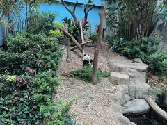 -河川生态园