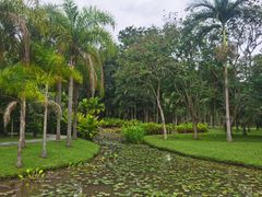 -中国科学院西双版纳热带植物园