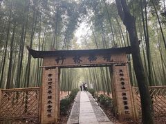 -大奇山国家森林公园