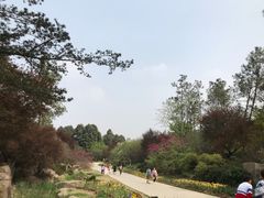 -秀丽东方